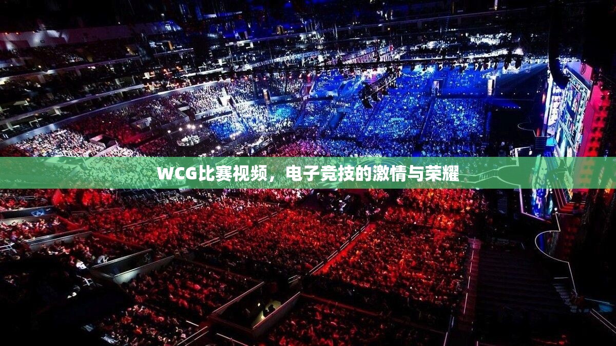 WCG比赛视频，电子竞技的激情与荣耀