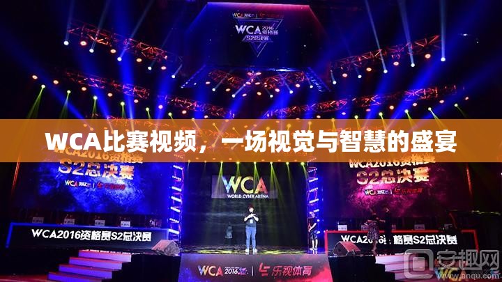 WCA比赛视频，一场视觉与智慧的盛宴