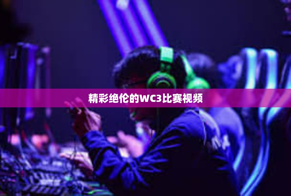 精彩绝伦的WC3比赛视频